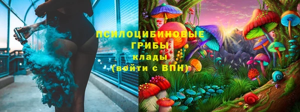 гашик Белокуриха