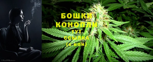 mdpv Новодвинск