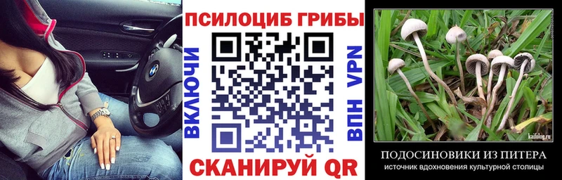Псилоцибиновые грибы Magic Shrooms  Пенза 
